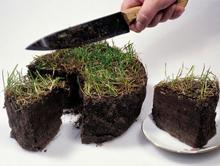 �  ���������� �������������� ������ ����� � ��� ���������� ����� ��������