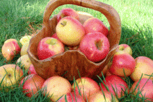 ������ ��������� ����: ��� � ��� ������� �������� � ������